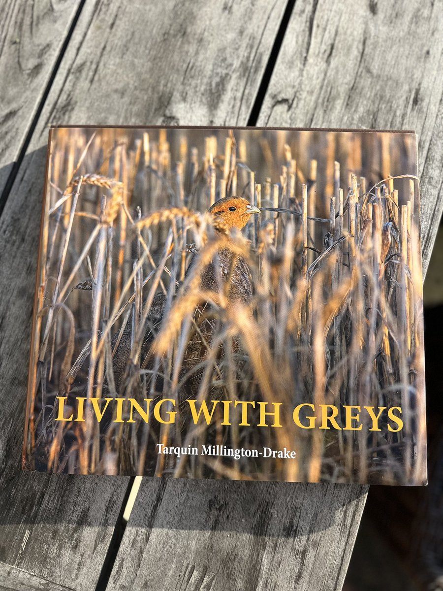 Early Christmas present has arrived….!