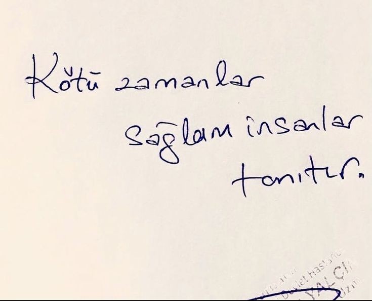 gazatr's tweet photo. https://t.co/vcKksFxa6p