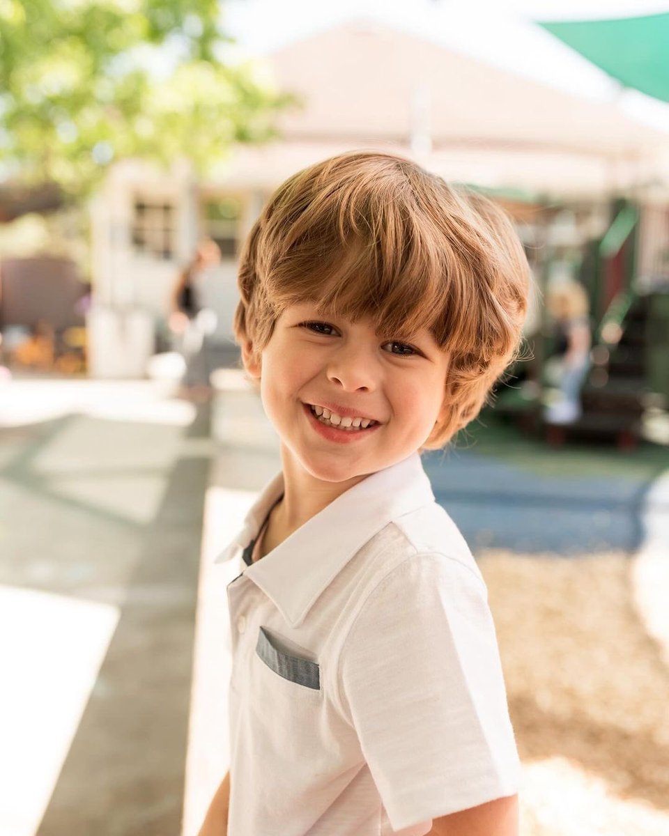 Artem Chigvintsev tweet media