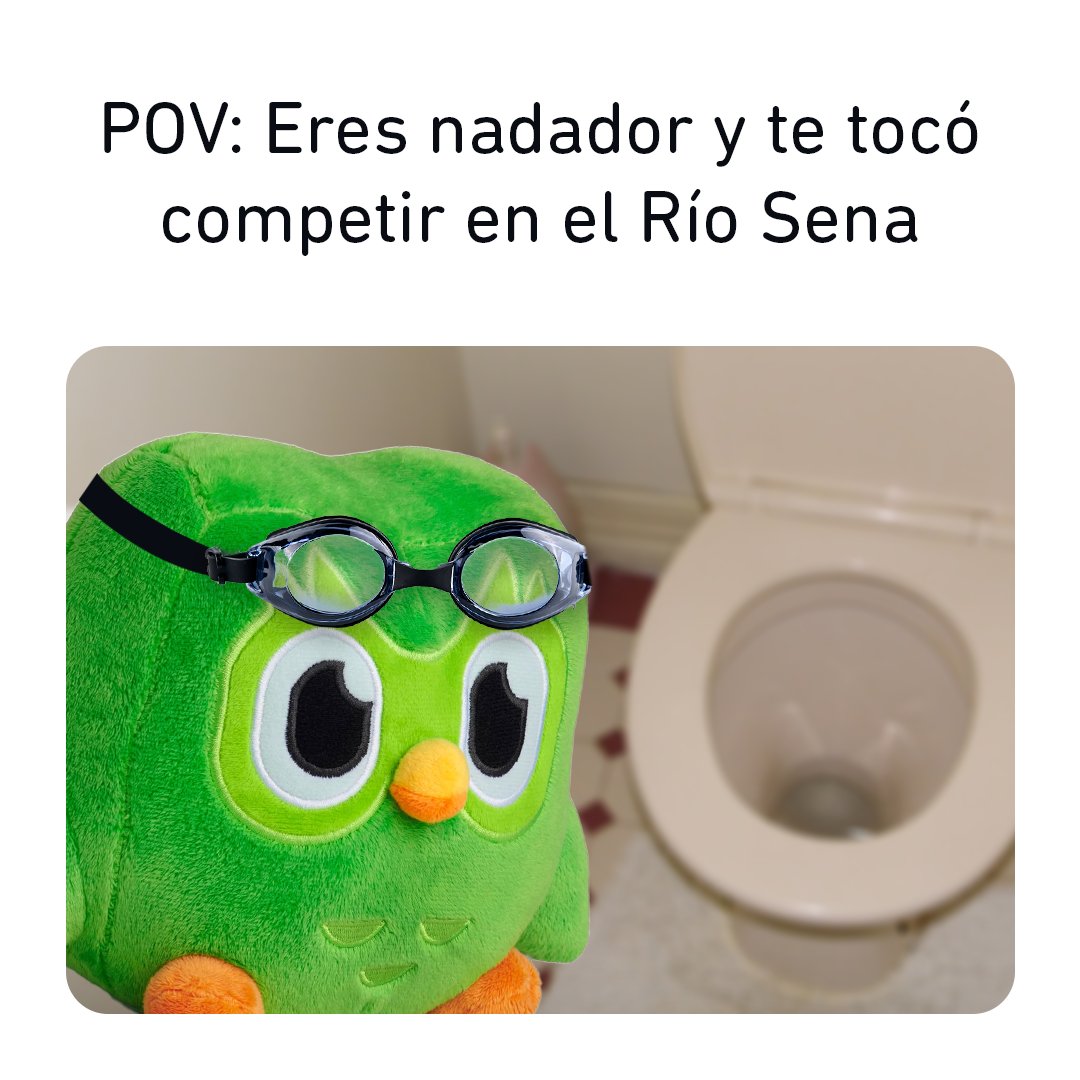 duolingoespanol's tweet photo. un momento, ese no es un pez… 💩 #Owlympics https://t.co/P0t5ybVpke