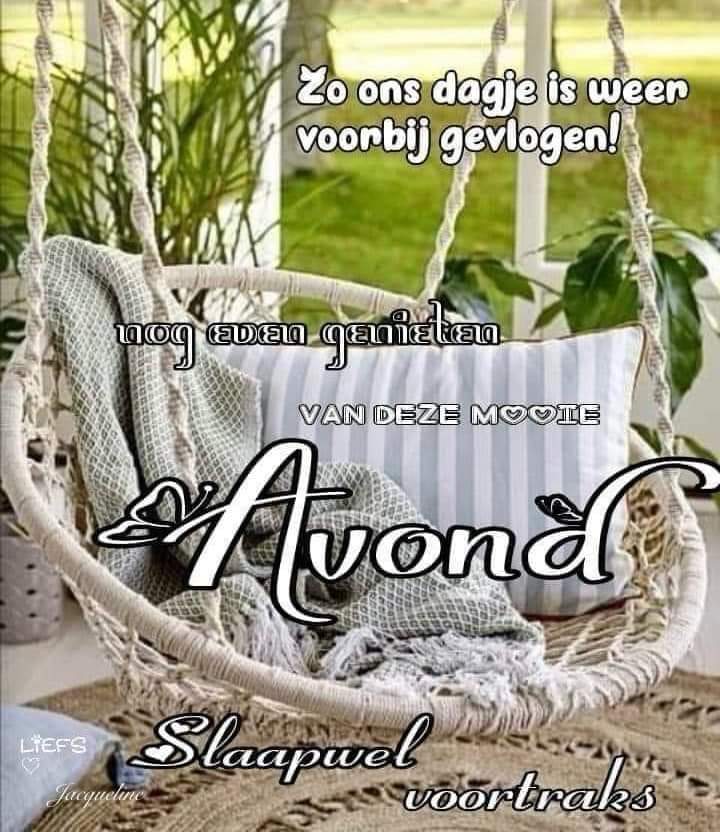 Brigitte ☀️ tweet media