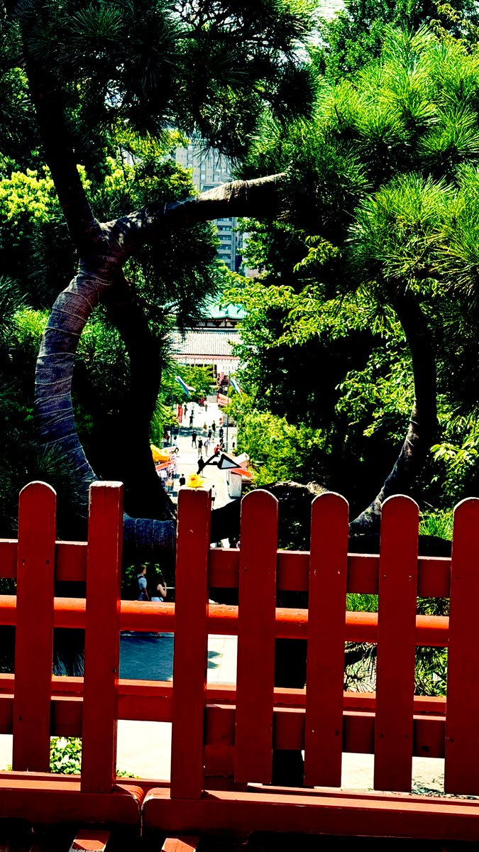 jaysonstreet's tweet image. I called this a deployment with a view! 😊 I loved walking back by afterwards and found someone taking pictures of this recruit while they were smiling which is the only reason #DuckArmyInvasion exist! For the smiles they create. 🥰