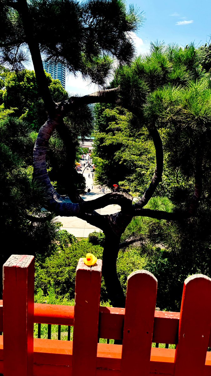 jaysonstreet's tweet image. I called this a deployment with a view! 😊 I loved walking back by afterwards and found someone taking pictures of this recruit while they were smiling which is the only reason #DuckArmyInvasion exist! For the smiles they create. 🥰