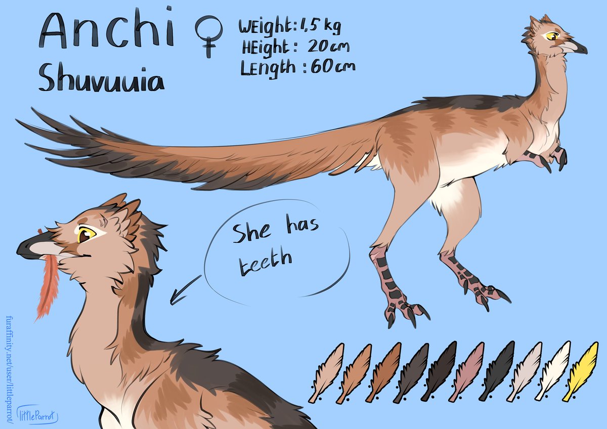 LittleBudgi's tweet photo. I have a super cute OC dinosaur! Her name means "hunter"
#dinosaur #paleoart #shuvuuia https://t.co/aeIijgXyKM