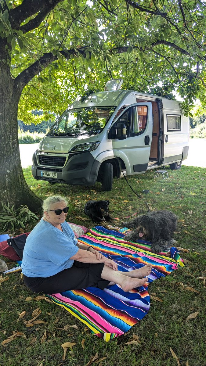 Fabulous &amp; shady walk on a hot day round the gardens at <a href="/ntstourhead/">Stourhead</a>. We loved the very polite "no dog" signs at the buildings in the garden &amp; the shady spots to sit...