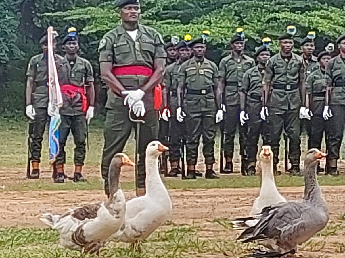 World Ranger Day Celebration today in good company! <a href="/WCS_Nigeria/">WCS Nigeria 💚</a> <a href="/nacgeof/">Nacha Geoffrey</a>