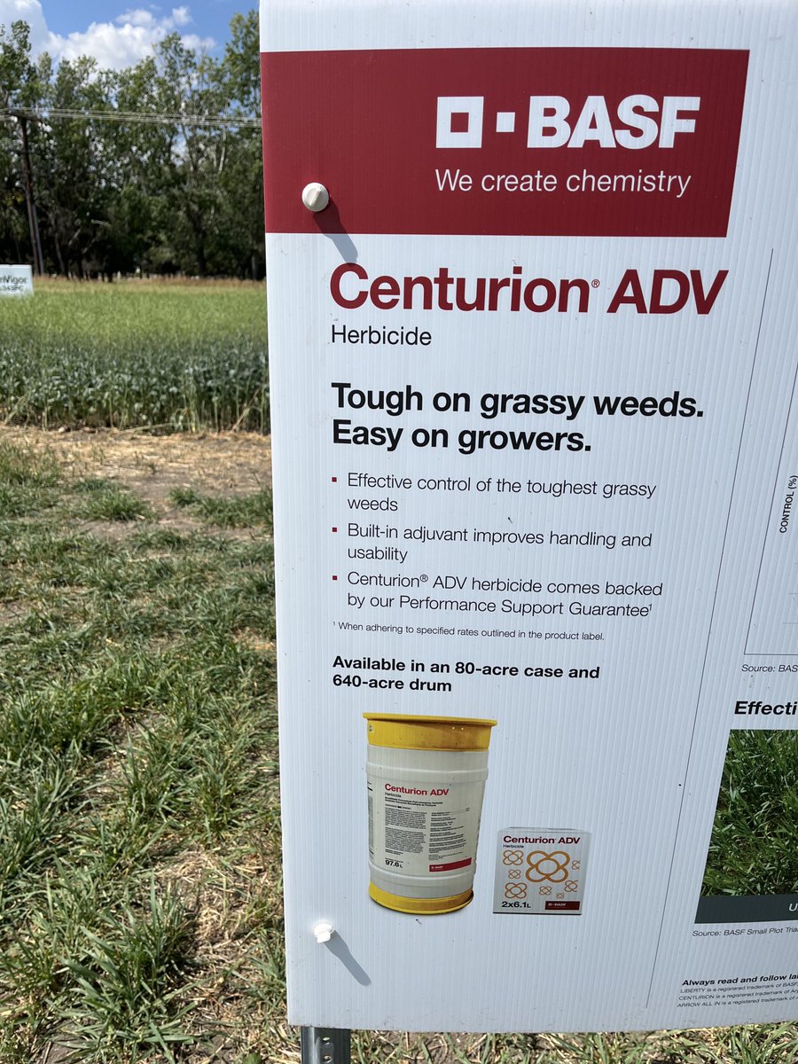 Pioneer Coop Grow Team (@pioneercoopag) on Twitter photo Excited for this new formulation for 2025 <a href="/BASFAgSolutions/">BASF Canada Agricultural Solutions</a> #bringItOn Excited for this new formulation for 2025 <a href="/BASFAgSolutions/">BASF Canada Agricultural Solutions</a> #bringItOn