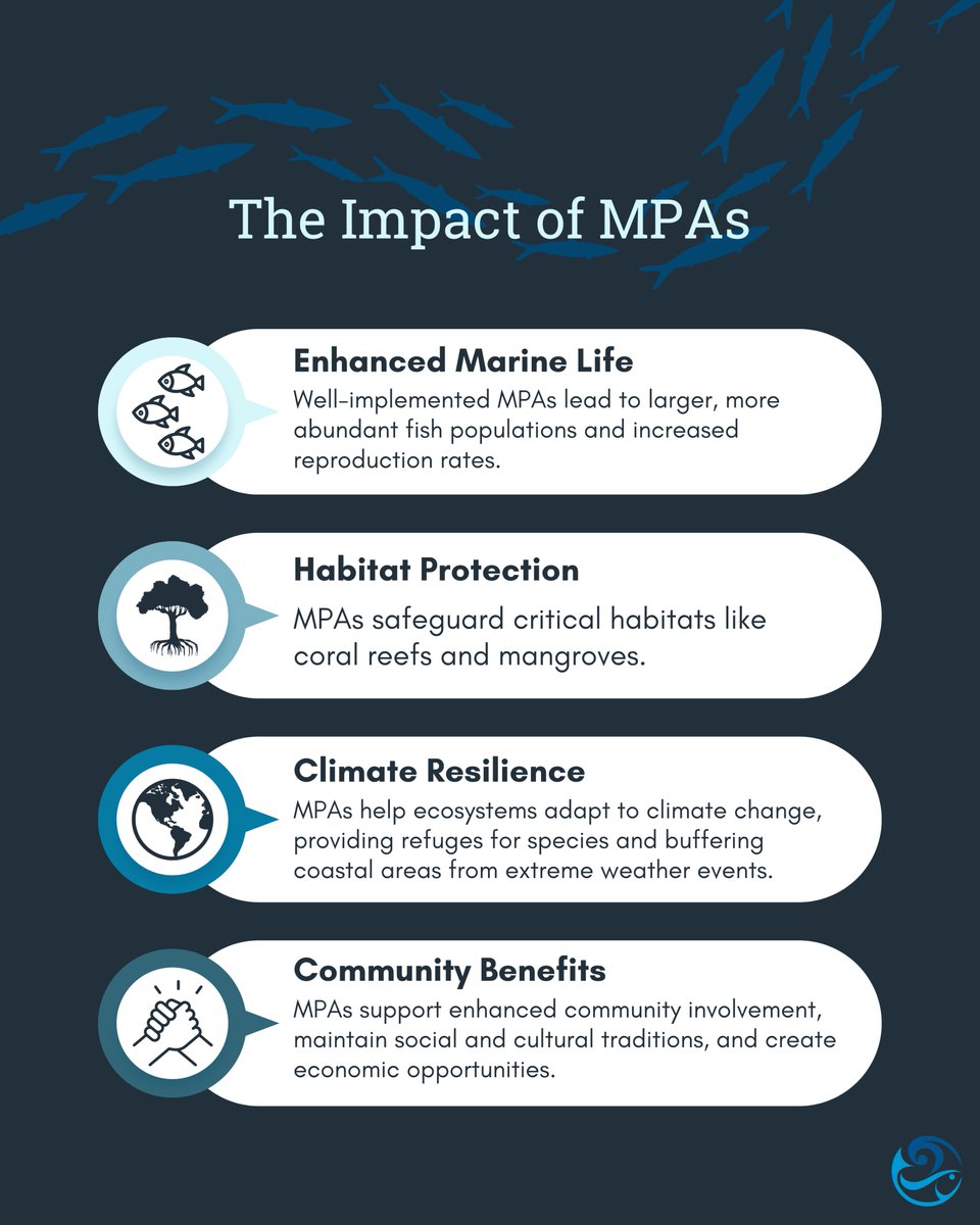 IOCS_OceanSci's tweet photo. 🌊🌍 Celebrate #MPADay by taking action to protect our oceans:
1️⃣ Join the MPA Day Webinar: Learn from experts on effective MPAs. Register here https://t.co/OqKM6HgqVs
2️⃣ Visit https://t.co/PVSXc0mJBi for events and resources
3️⃣ Share your support! https://t.co/DnQoIDUVyS
