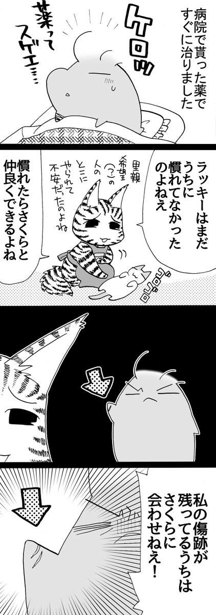 四コマ「さくらとラッキー9」
私の目が黒いうちはならぬ、私の傷が残っているうちは!

#猫 #四コマ漫画 #御かぞくさま御いっこう 