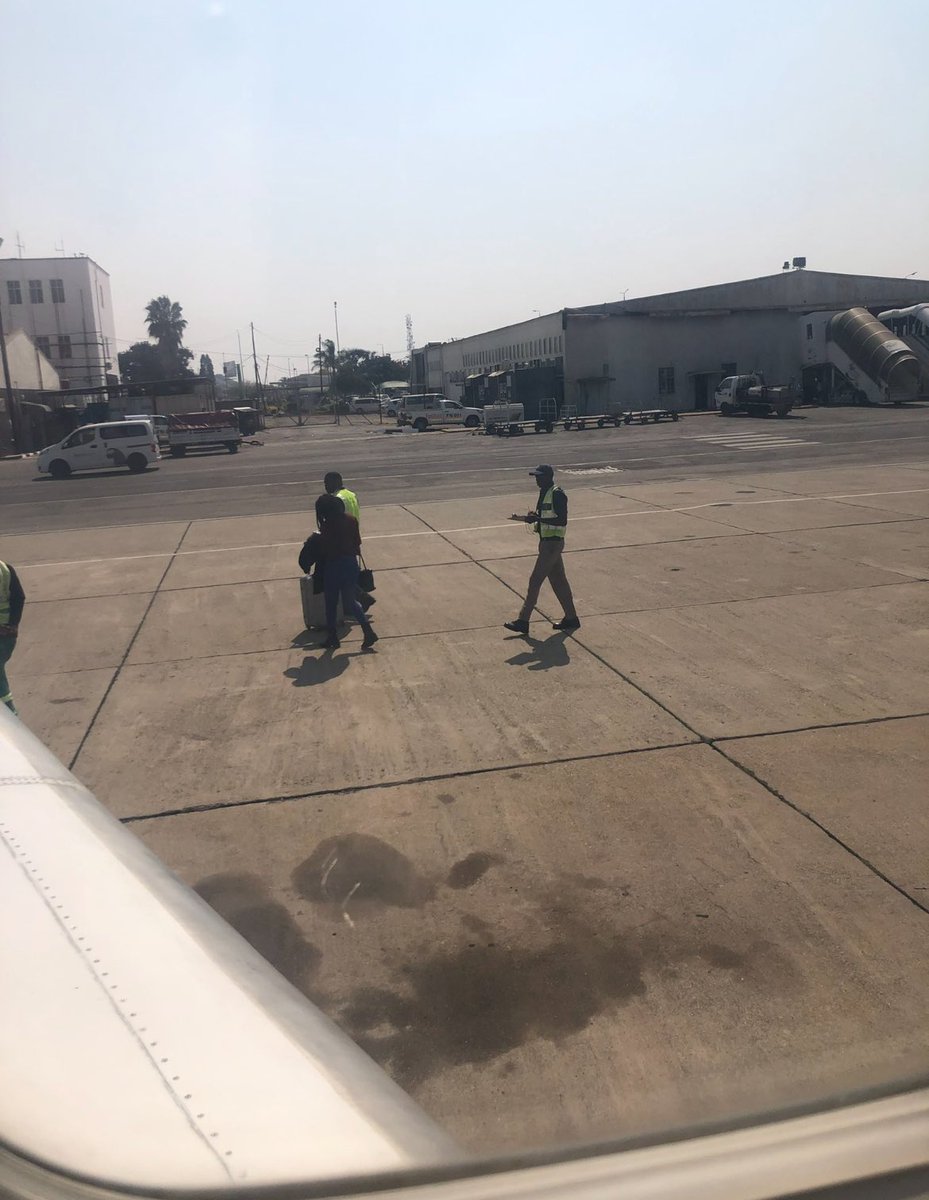 skilled rebhara tweet media