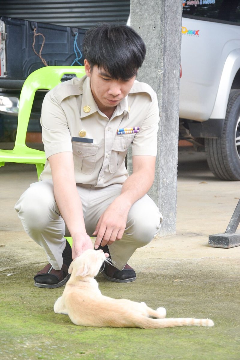 beariezz's tweet photo. เราไม่ได้ชอบแค่แมวนะ ชอบนู๋ด้วย #พิจิตร https://t.co/CHcOu7MacG