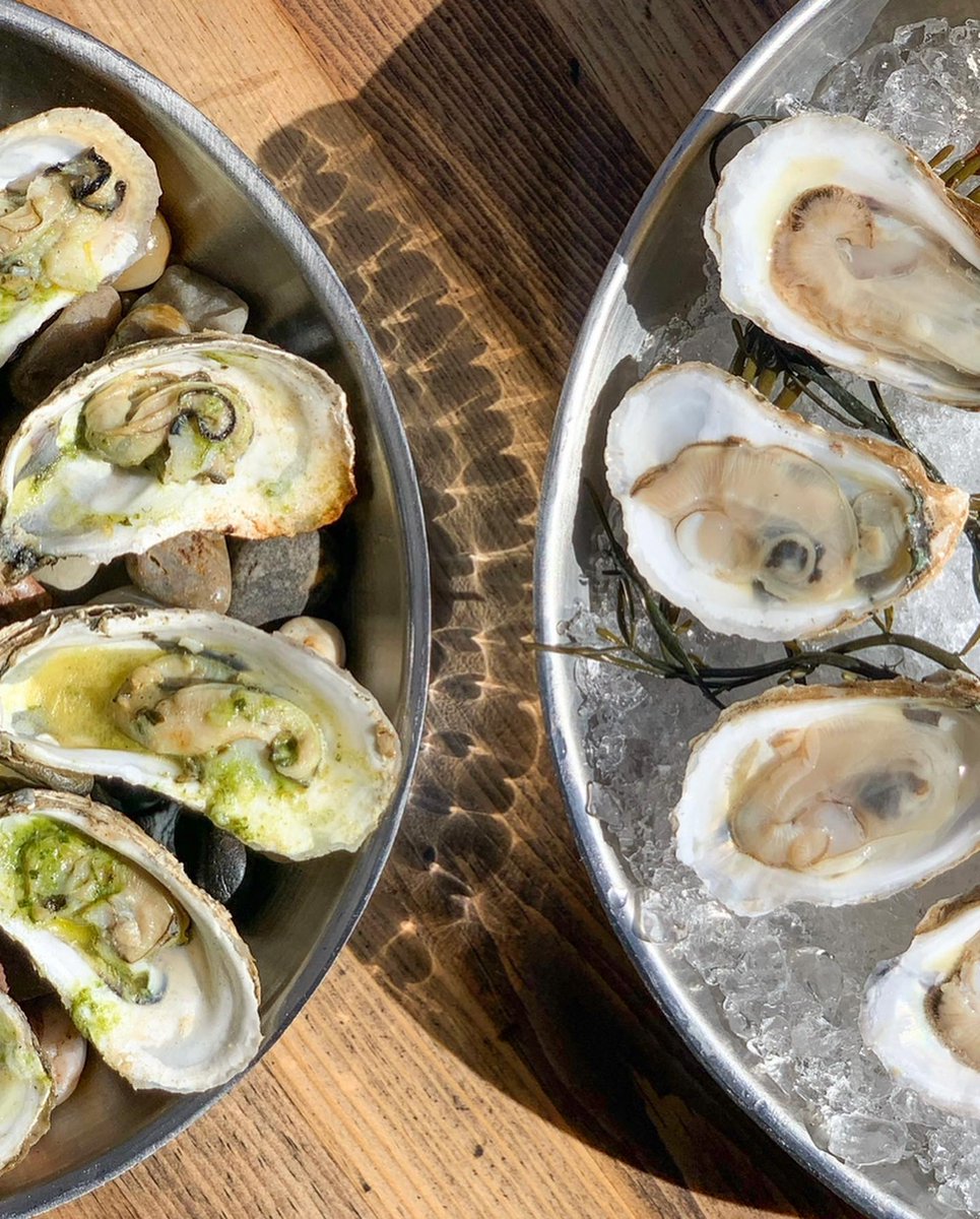 Congratulations to Colleton County! 

Lowcountry Oyster Company announced today that it is expanding its operations with the construction of a $6.4 million seafood processing and cross-dock facility in Green Pond, SC. The Colleton County facility is pro... southerncarolina.org/news_center/ar…