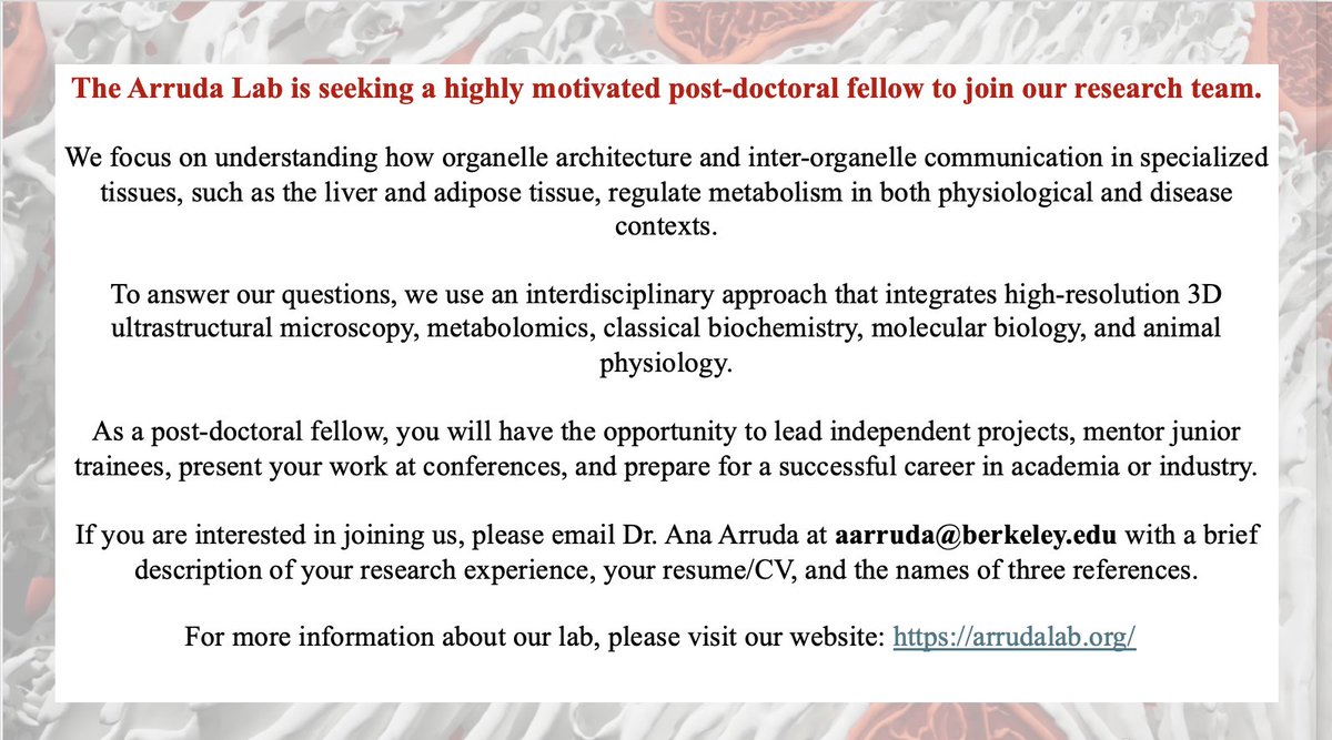 Ana Paula Arruda (@apsarruda) on Twitter photo Post-doctoral position available in Arruda Lab <a href="/UCBerkeley/">UC Berkeley</a> ! For more information please visit our website: arrudalab.org Post-doctoral position available in Arruda Lab <a href="/UCBerkeley/">UC Berkeley</a> ! For more information please visit our website: arrudalab.org