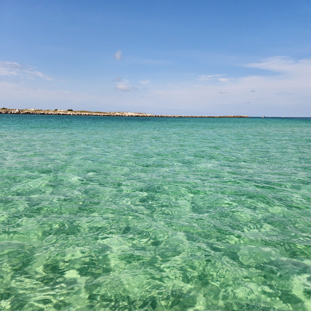 destination_pc's tweet photo. Dreaming of warm, clear water and sunshine βοΈ? Chances are, you're dreaming about Shell Island! The seven-mile-long stretch of white sand meets the beautiful emerald water from the Gulf of Mexico. Book your next trip to Panama City to discover the beach of your dreams!
#LovePC https://t.co/skcoxAJOem