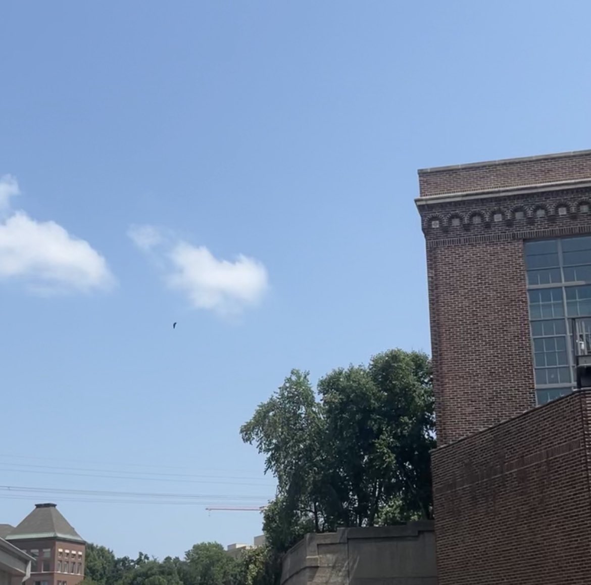 Amber Reilly (she/they) tweet media