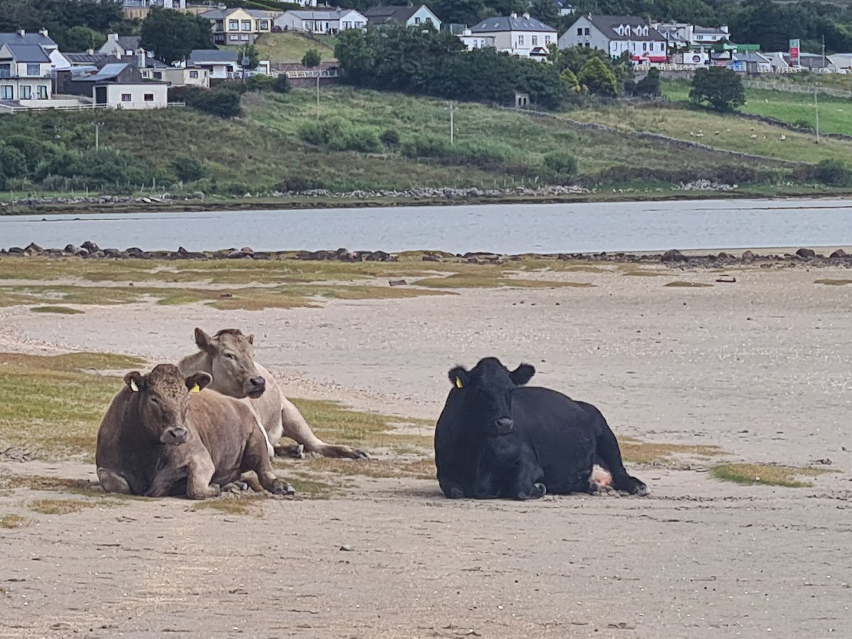 Breathing in Mulranny :)
Yesterday
<a href="/Tweetinggoddess/">Samantha Kelly Media</a> 
<a href="/WAWMayo/">WildAtlanticWayMayo</a> 
<a href="/MulrannyTourism/">Mulranny Tourism</a> 
#creativesweetspot
#breatheireland