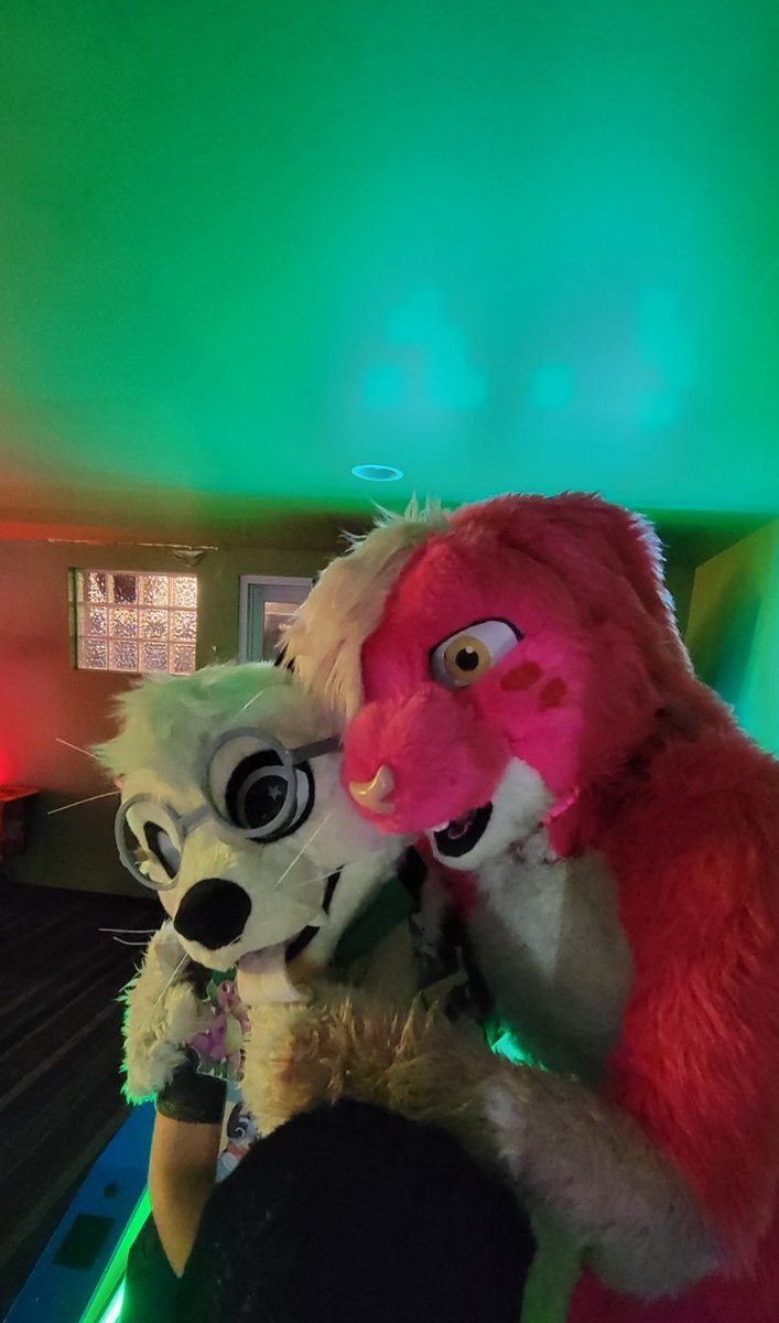 DongDongWeasel's tweet photo. Went to a Furry Bowling Event last weekend at @ChippersLanes and it was a blast! Biggest one I've ever seen! https://t.co/MxewDLq6Ys