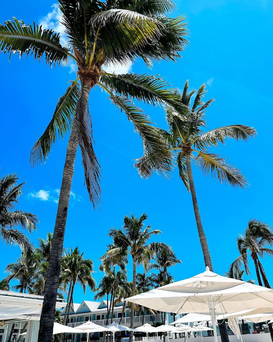 We are closing out July doing what we do best... relaxing. 🌴 Book your vacation and unwind at Southernmost Beach Resort 💛 bit.ly/2IzXTAj

📸 <a href="/m3lysss/">reality mel</a>