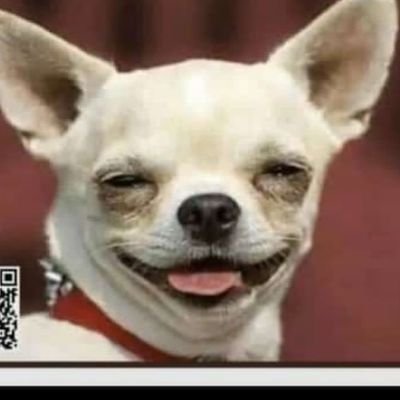 *Kasong kaya kekuti hatina musha panyika kanondifurira kudya mari yestand😰😰