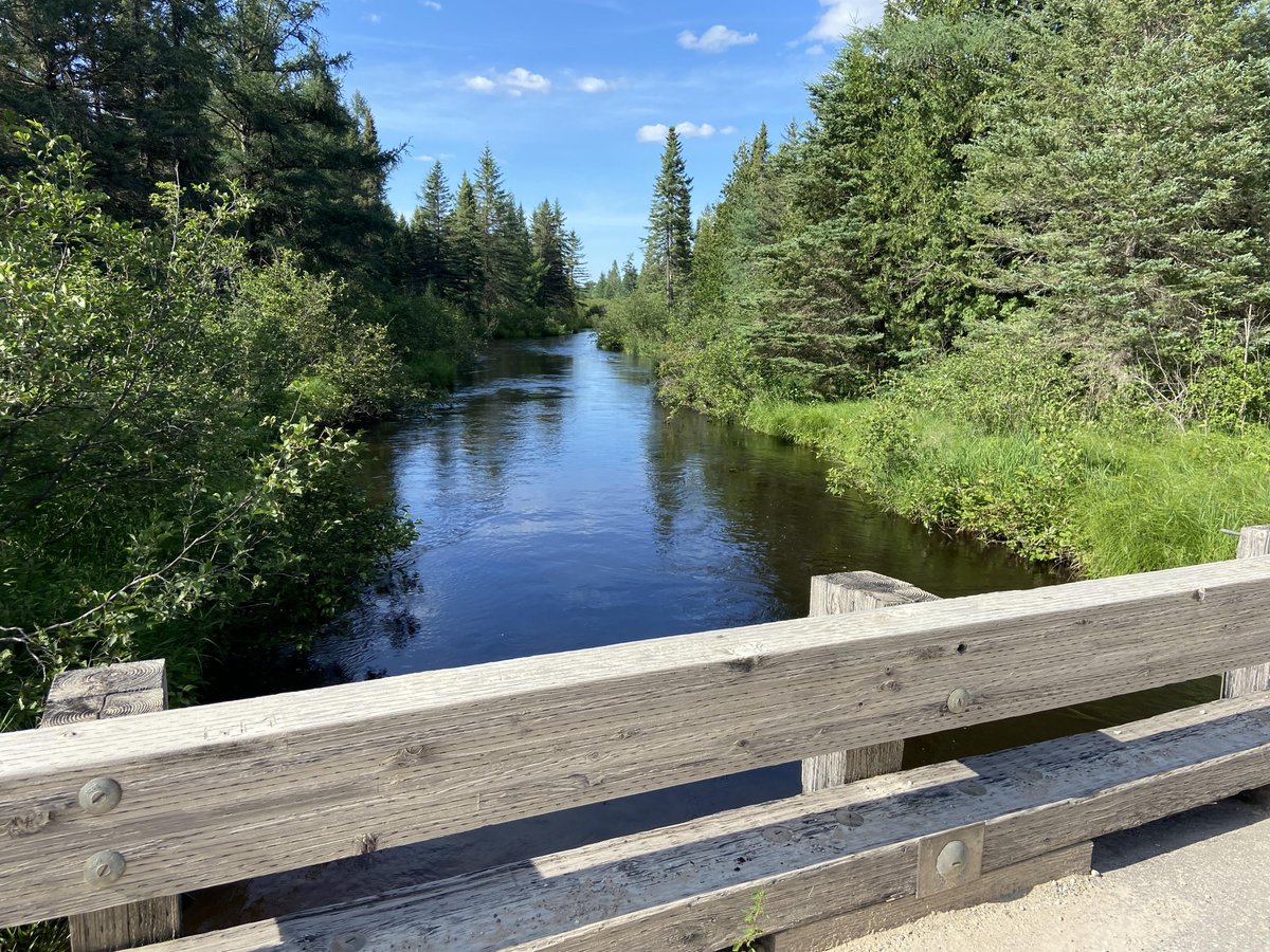 MichForestAssoc's tweet photo. Join the Michigan Forest Association August 14th in the Thunder Bay Watershed for an afternoon of discussion and fun! Learn about streambank erosion, water management, and the Thunder Bay Watershed. Register here: https://t.co/6lwZpLHAFG https://t.co/xqp5mxaQba