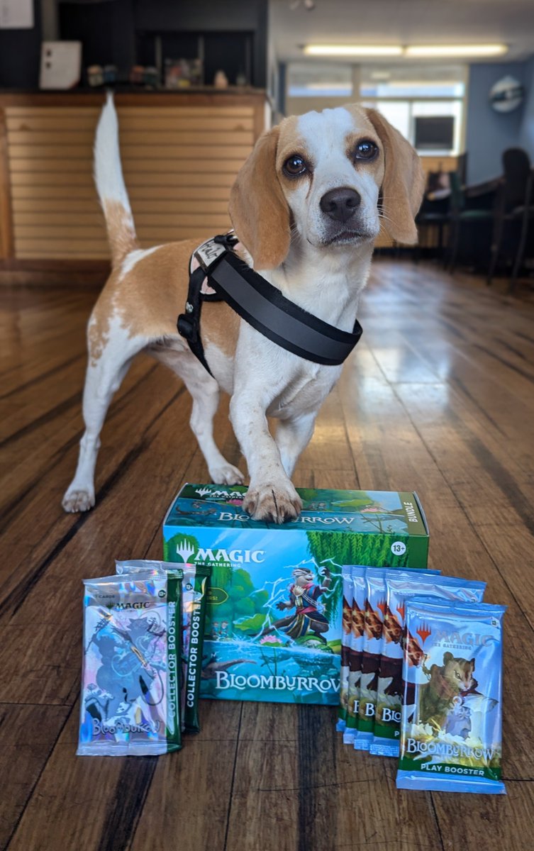 ABgames's tweet photo. Bloomburrow is here! Get your product today, booster boxes, Commander decks, and more! Thank you Halo for showing off the bundles~ they will go fast!

Events Tonight:
MTG; Pioneer 6:00pm
Star Wars Unlimited 6:30pm

NBD! https://t.co/ELlQMGYIM2