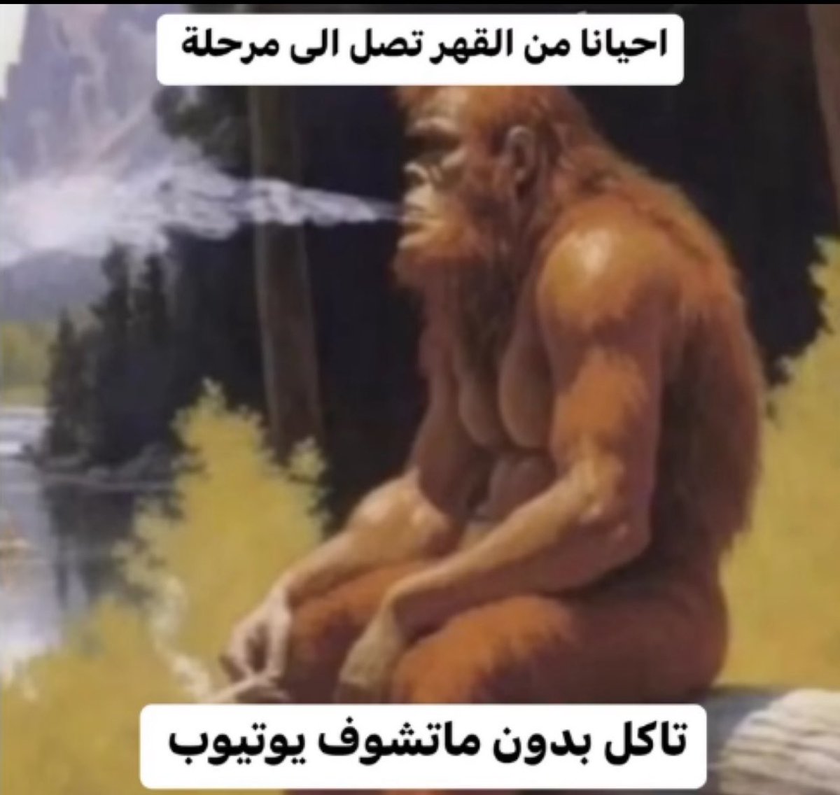 عمر | كود نايس ون AH88 tweet media