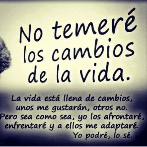 Manuel Henriquez (@manueldrummers) on Twitter photo 
