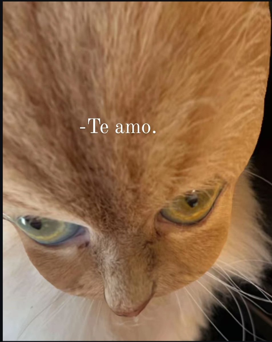 CGusmund's tweet photo. @RDLNoficial https://t.co/4Kx9N7BGuH
