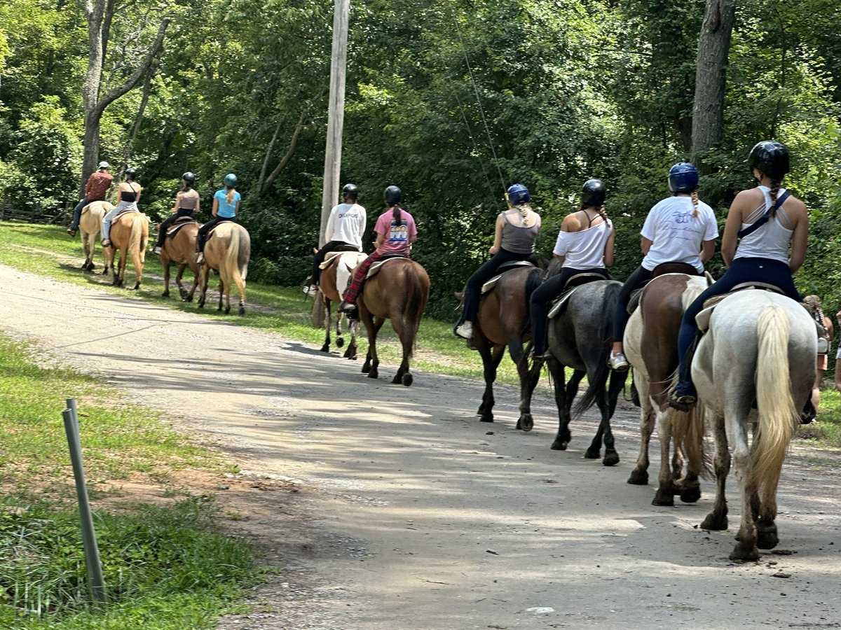 Mount Vernon MustangsVolleyball tweet media