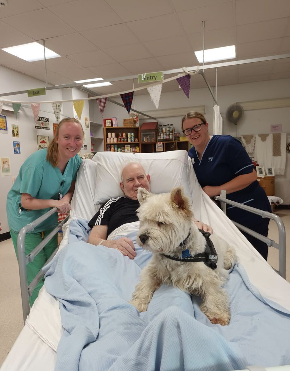 Frances Aitken tweet media