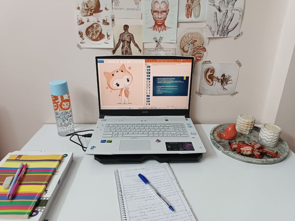 callmekizami's tweet image. Starting my study routine with #KittyInu by my side! 🐾📚 It’s amazing how a bit of whimsy can boost productivity. #StudyRoutine