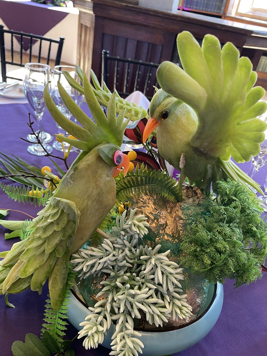 Carol Prokopyszyn 🐝🇺🇦 tweet media