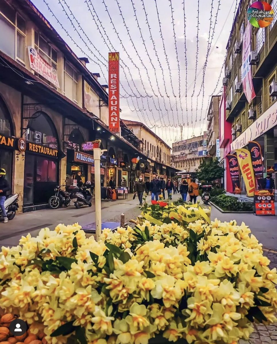 "ne zahter kokusu var artık ne nergis
bir acı yel kaldı bahçede yalnız"