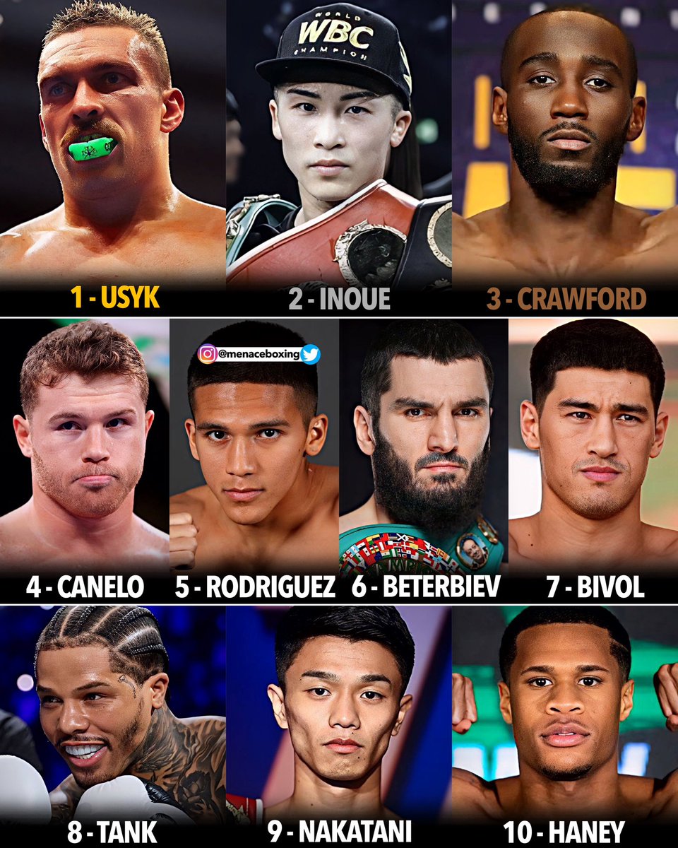 MenaceBoxing tweet media