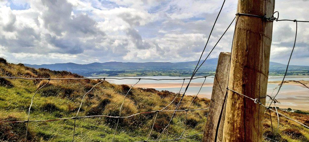 natashacarthew's tweet photo. Climbing into August with my pen poised to write the newly signed nonfiction, my head thinking on a new short-story commission and my heart wondering on the first fiction I've written in 7 years and love with such passion I wonder who's brave enough to publish #WildWriting #Eire https://t.co/0t5uRNUH3J