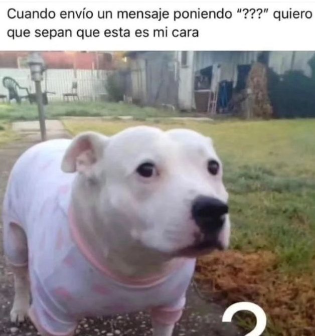 Ya saben esa es mi cara