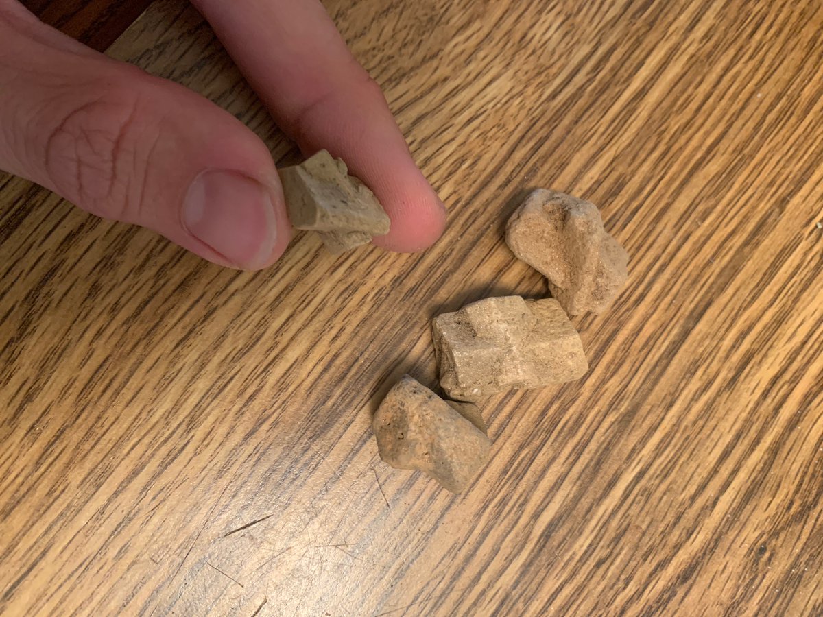 CopperFop's tweet photo. I got a chance to collect some more fairy stones! These are just a few of the larger ones I like out of what I found. https://t.co/XYpWfdKeME