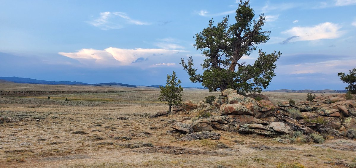 shadowdefense's tweet photo. Would you like to live here with 20 friends?
#desert #Wyoming #CampShadow https://t.co/czYpX1wC1t