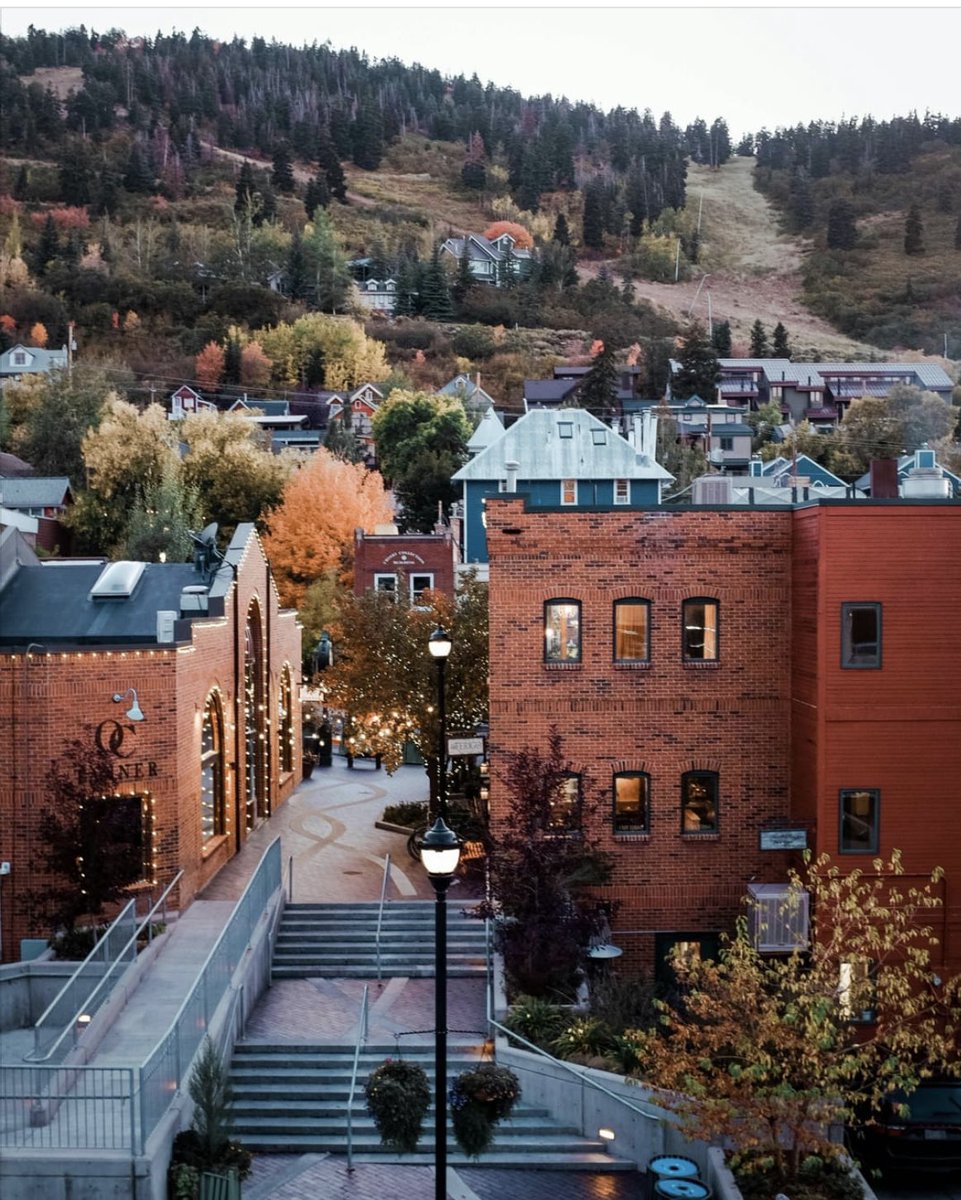 Nina Romano tweet media