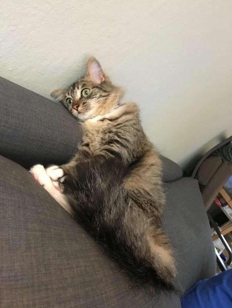 “Oysa gençlik kaygısızlıktır”