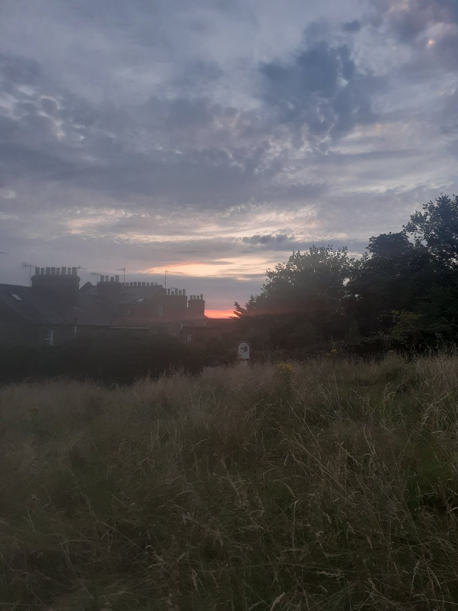 Loveliest ward in London ♥️

#harrowonthehill