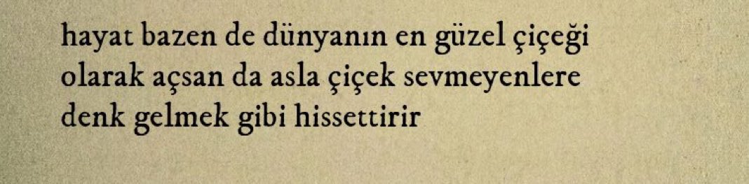 sᴇɴsɪᴢ ʜᴀᴛıʀᴀ (@sensizhatiram) on Twitter photo 