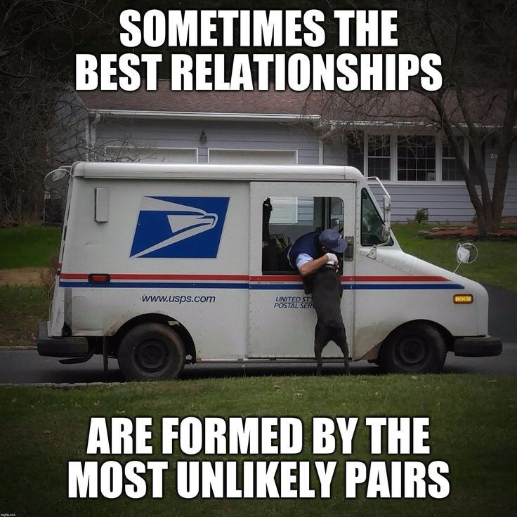 StayPostal's tweet image. Good dogs get a milkbone and a hug, aggressive dogs get pepper spray