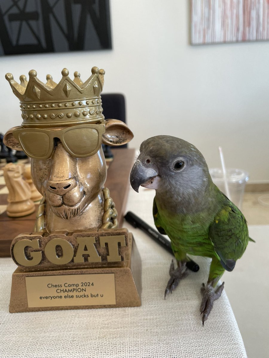 Jennifer Yu tweet media