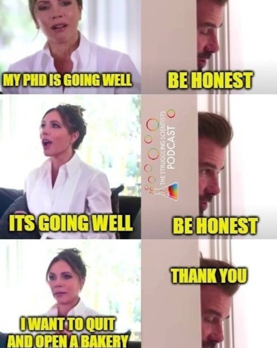 plemelab's tweet photo. #PhDmeme #AcademicTwitter #fun #research #researcher https://t.co/118hQbRiei