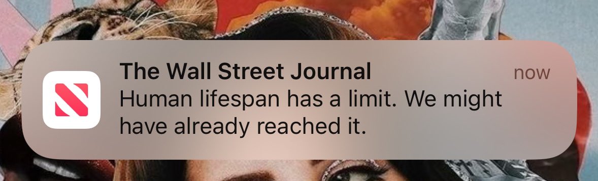 antisocialsandy's tweet image. Finally. Some good news.