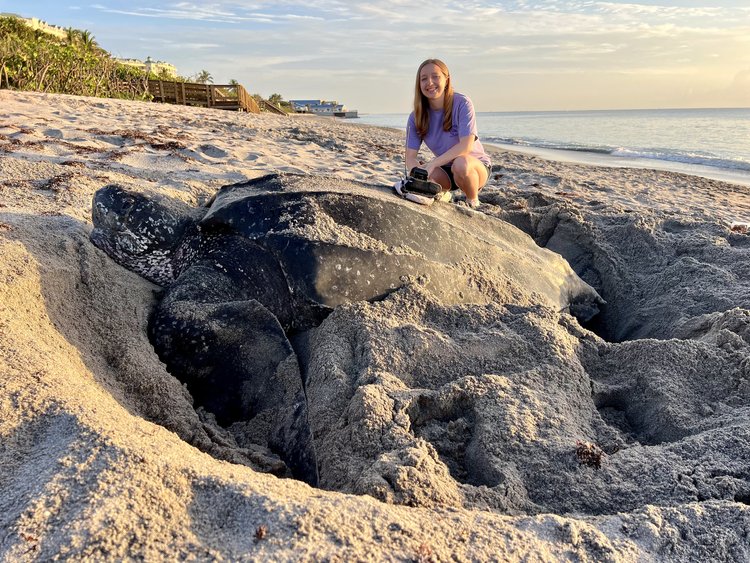 A huge thank you to Bethany Holtz for her incredible work over the past few years! Bethany turned #SeaTurtleWeek into a global campaign, improved our communications, and helped our organization grow.
We wish you the best in your next steps! Photo taken with permit FWC MTP-22-154