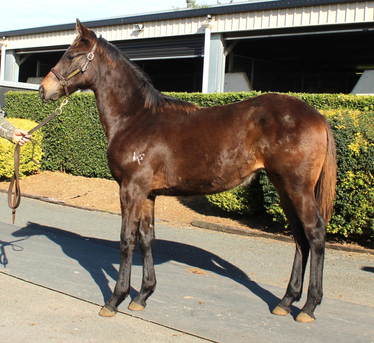 LParkstud's tweet image. Our little girl is getting big