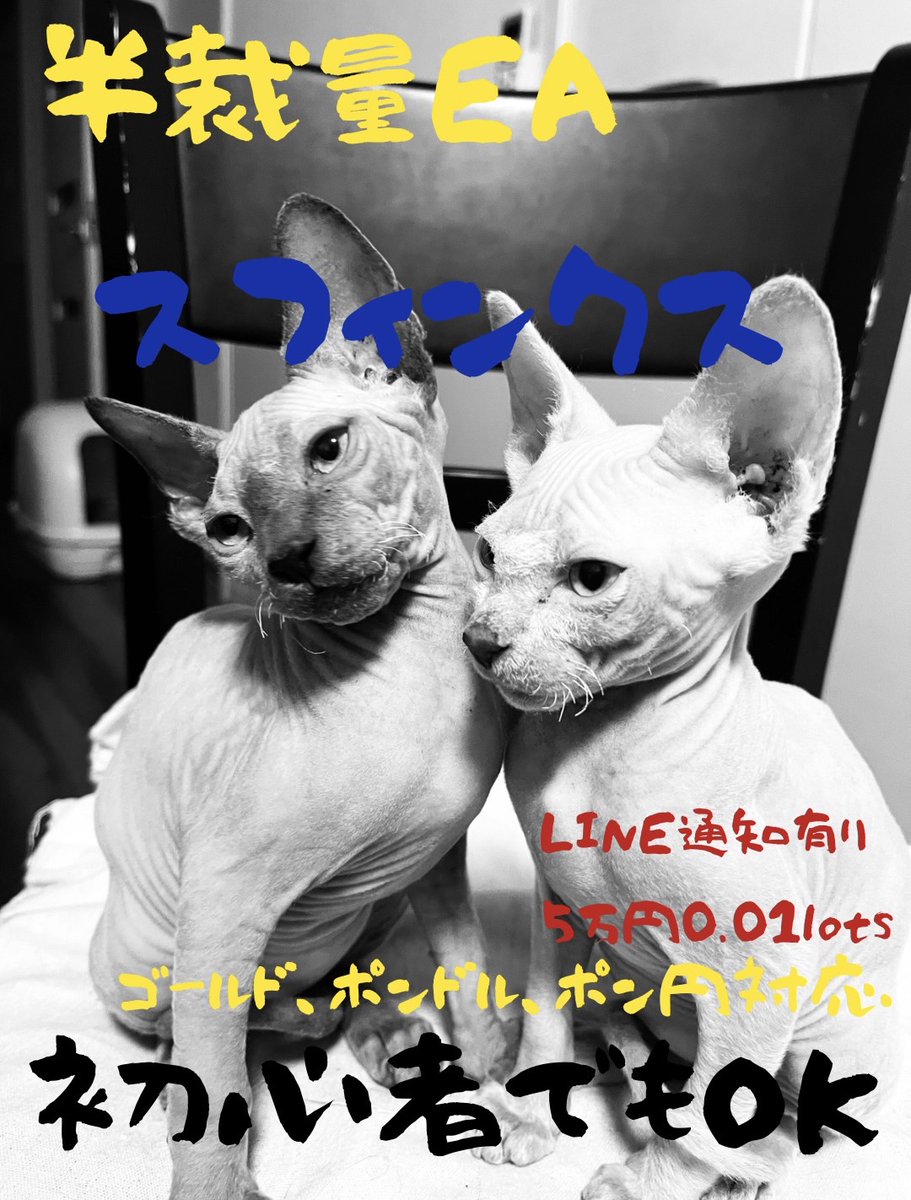 爆益型EAファットキャット
 皆さん超おススメなのでぜひ使ってください(#^.^#)
 自分の裁量に合わせて数値調整もできる優れもの(#^.^#) 
詳細はここから
bit.ly/4bDEf1F#ad 

 #無料EA #半裁量

ゴールド/ビットコイン/BTCUSD/自動売買/ロスカット