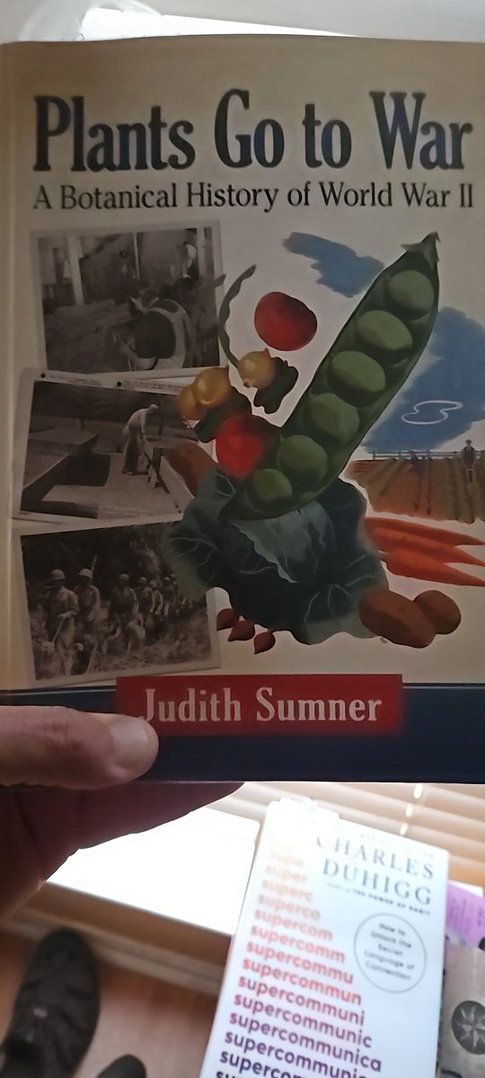 Seth Ross tweet media